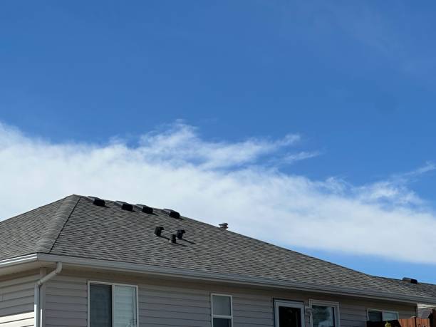 Best Storm Damage Roof Repair  in Jewett City, CT